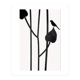 The Bird Noir (Print Only) thumbnail