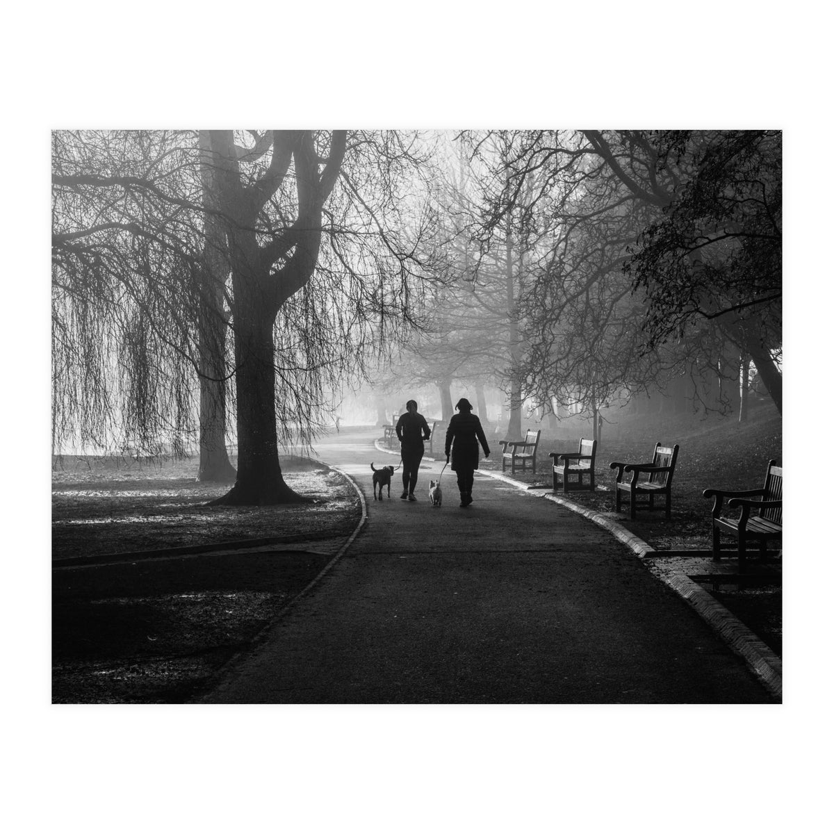 Misty Morning (Print Only)