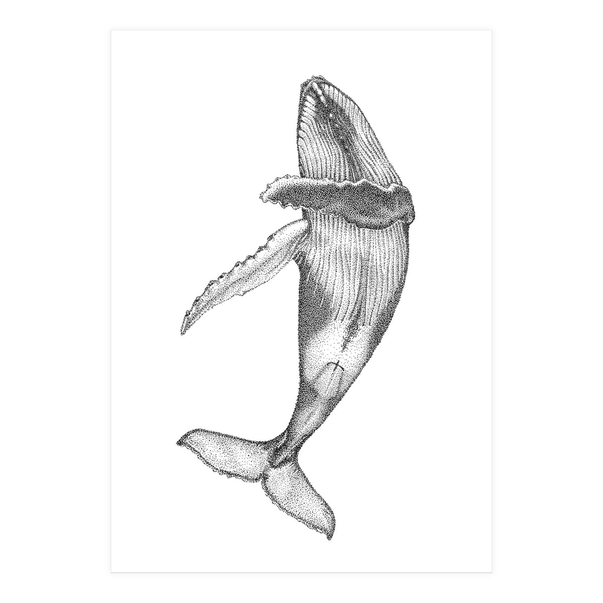 Humpacks no. 2 (Print Only)