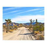 Joshua Tree II (Print Only) thumbnail