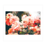 Blush II (Print Only) thumbnail