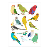 Parrotts in Glasses (Print Only) thumbnail