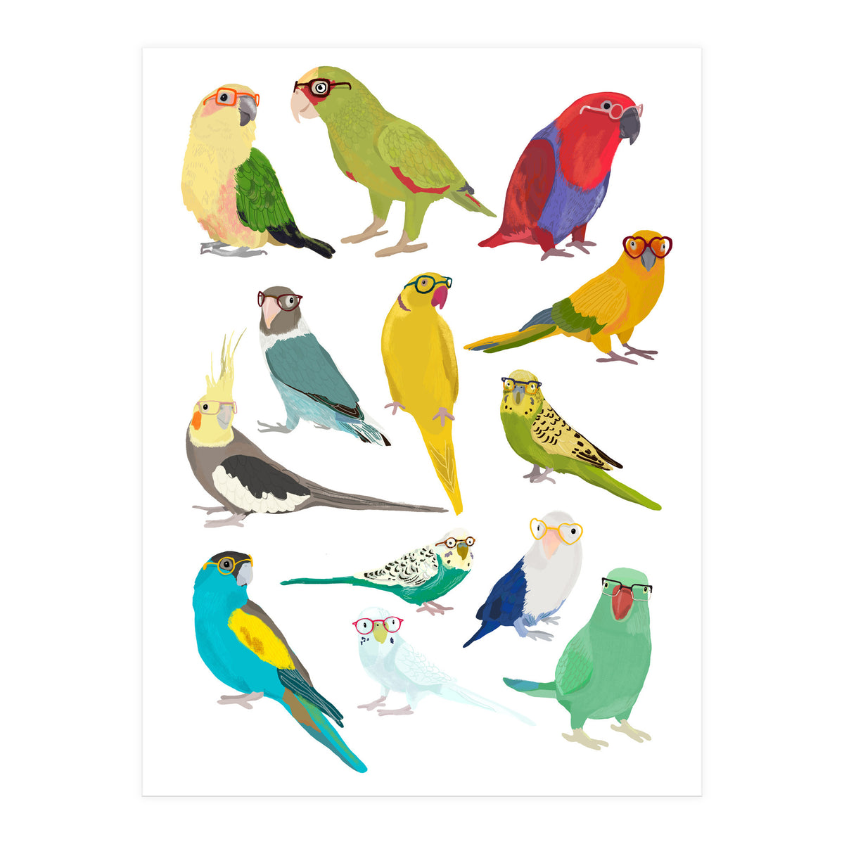 Parrotts in Glasses (Print Only)