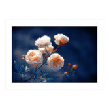 Rose Garden (Print Only) thumbnail