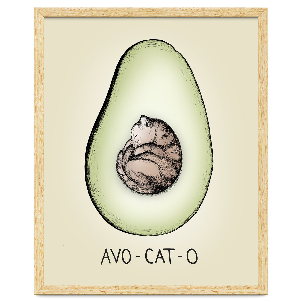 Avo-cat-o