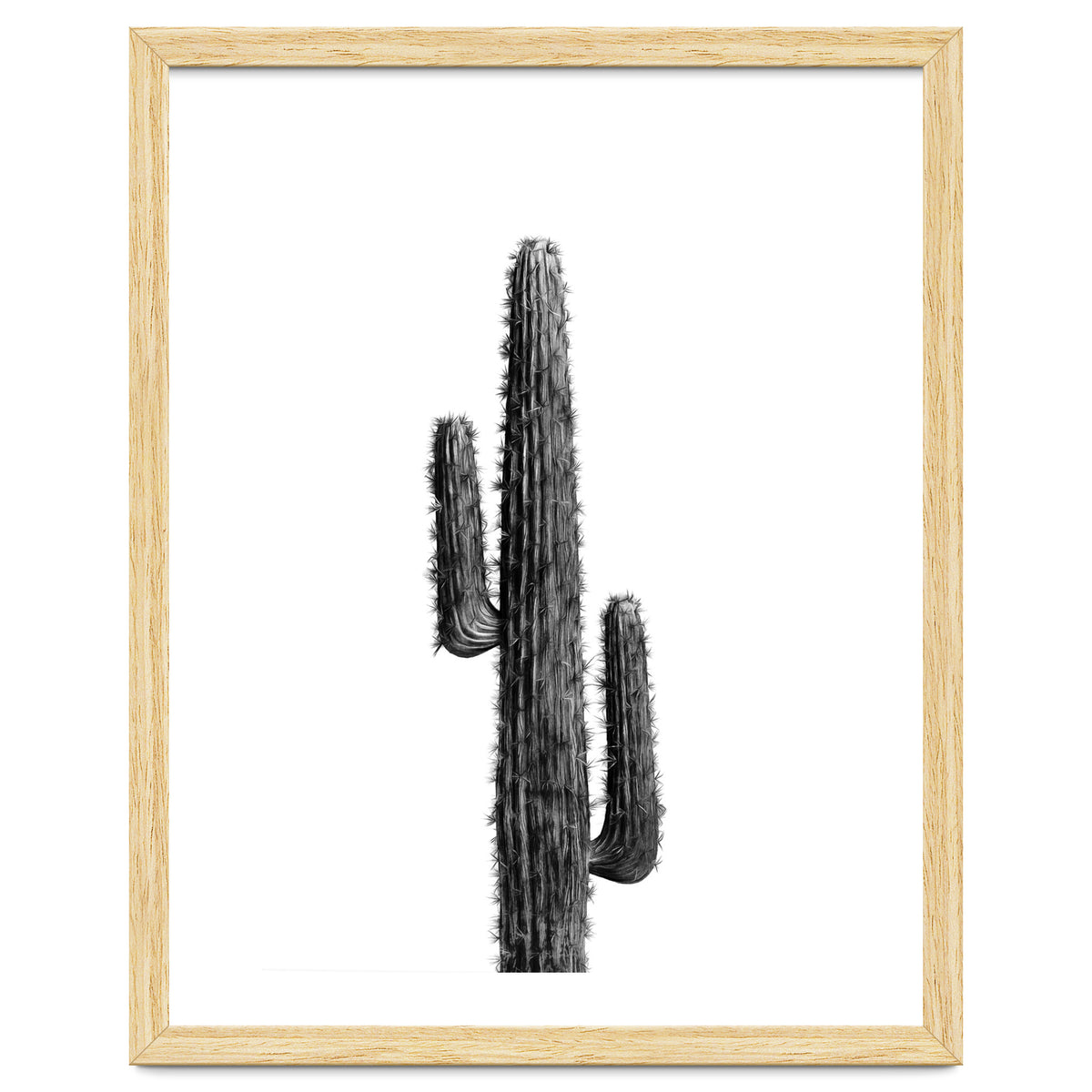 Cactus Black and White 01