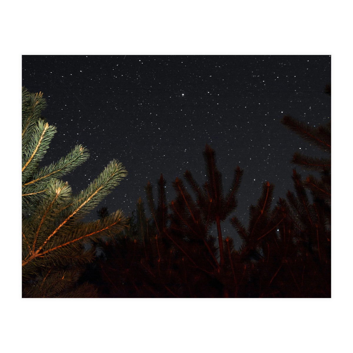 Sputnik Turntables (Print Only)