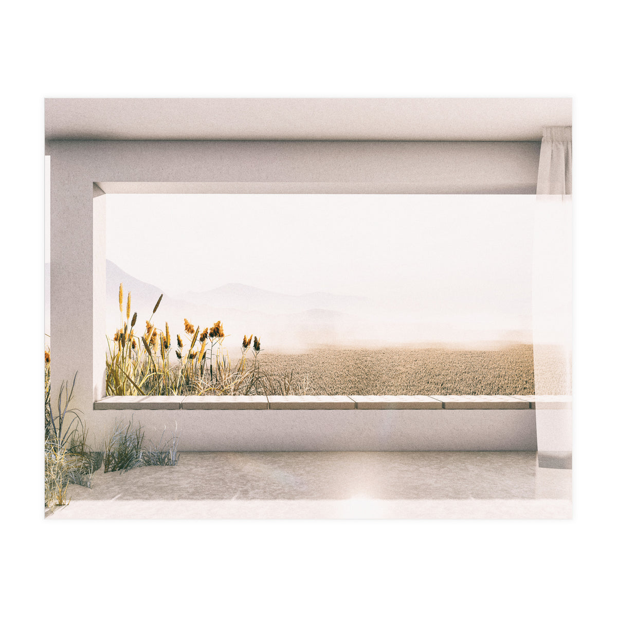 GRASS BY THE WINDOW (Print Only)