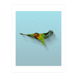 Flying lovebird (Print Only) thumbnail