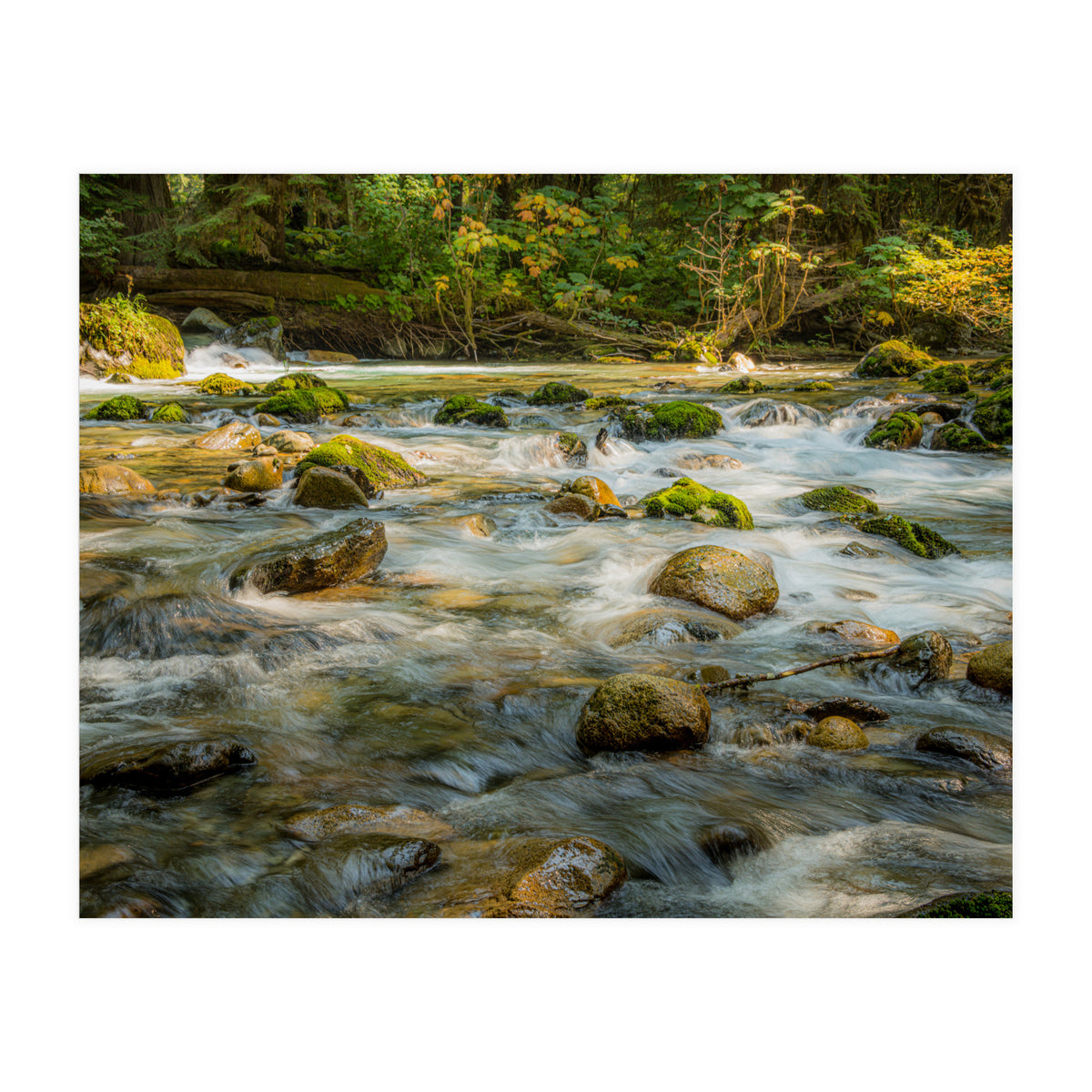 Water Flowing over Rocks (Print Only)