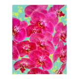 Finding My Way Back To Myself, Botanical Nature Plants Floral, Flowers Garden Colorful Boho Painting Summer Blossom (Print Only) thumbnail
