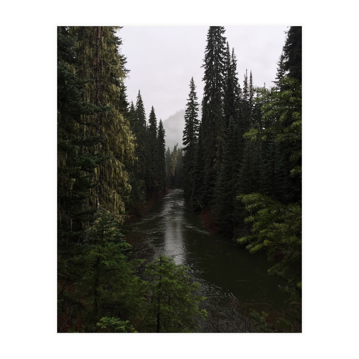 Evergreen State (Print Only)