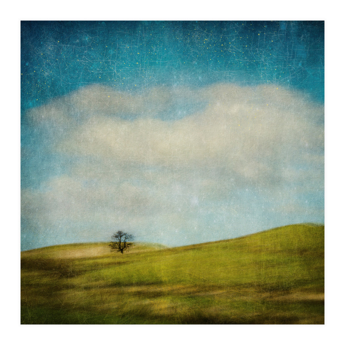 Strange Times (Print Only)