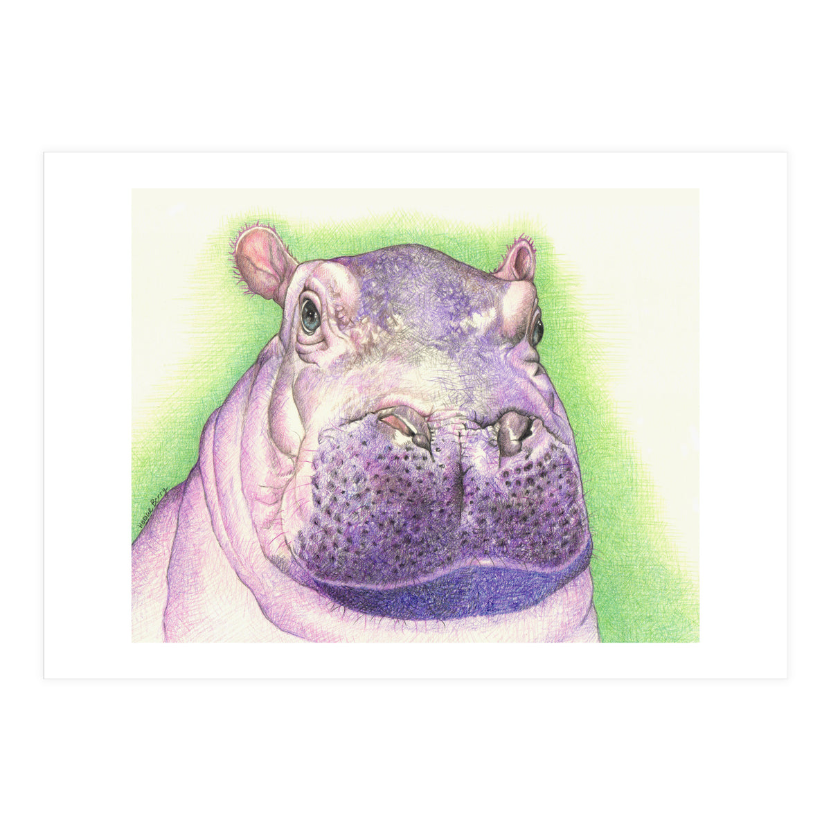 Purple Hippo (Print Only)