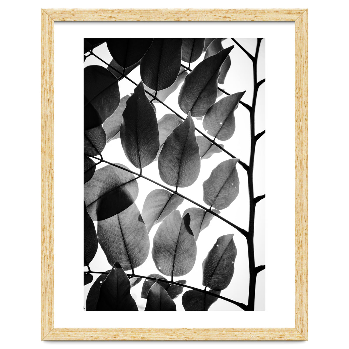 Branches and Leaves II