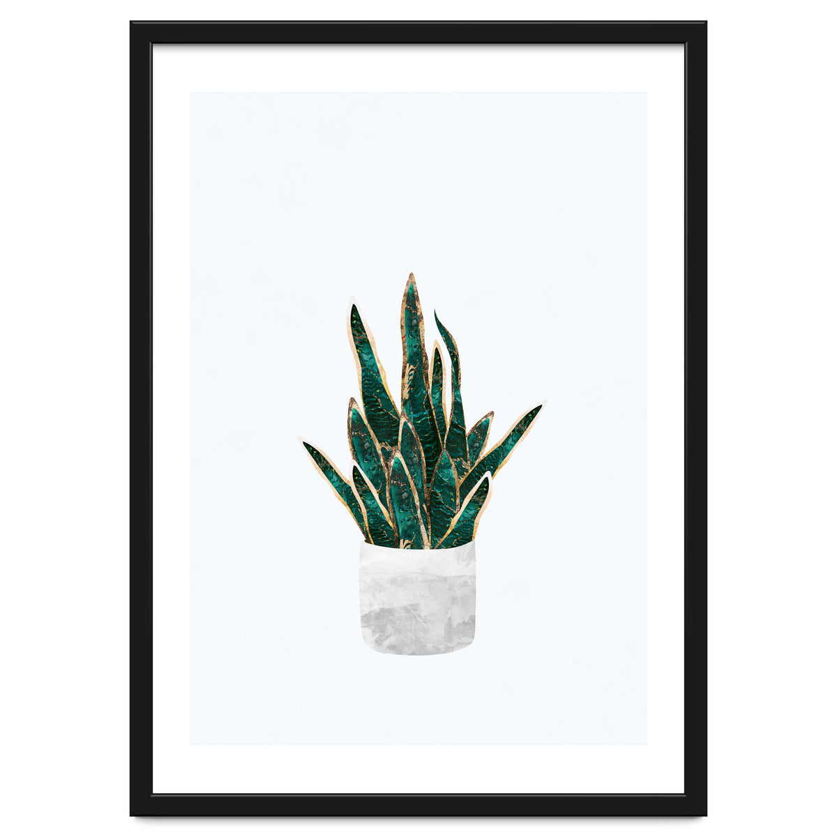 Snake Plant gold and green