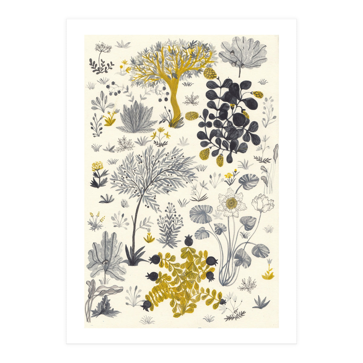 Genesis (Print Only)