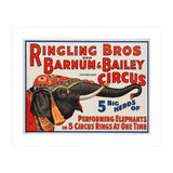 Ringling Bros & Barnum Bailey Circus Advertisement (Print Only) thumbnail