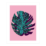 Monstera Deliciosa II (Print Only) thumbnail