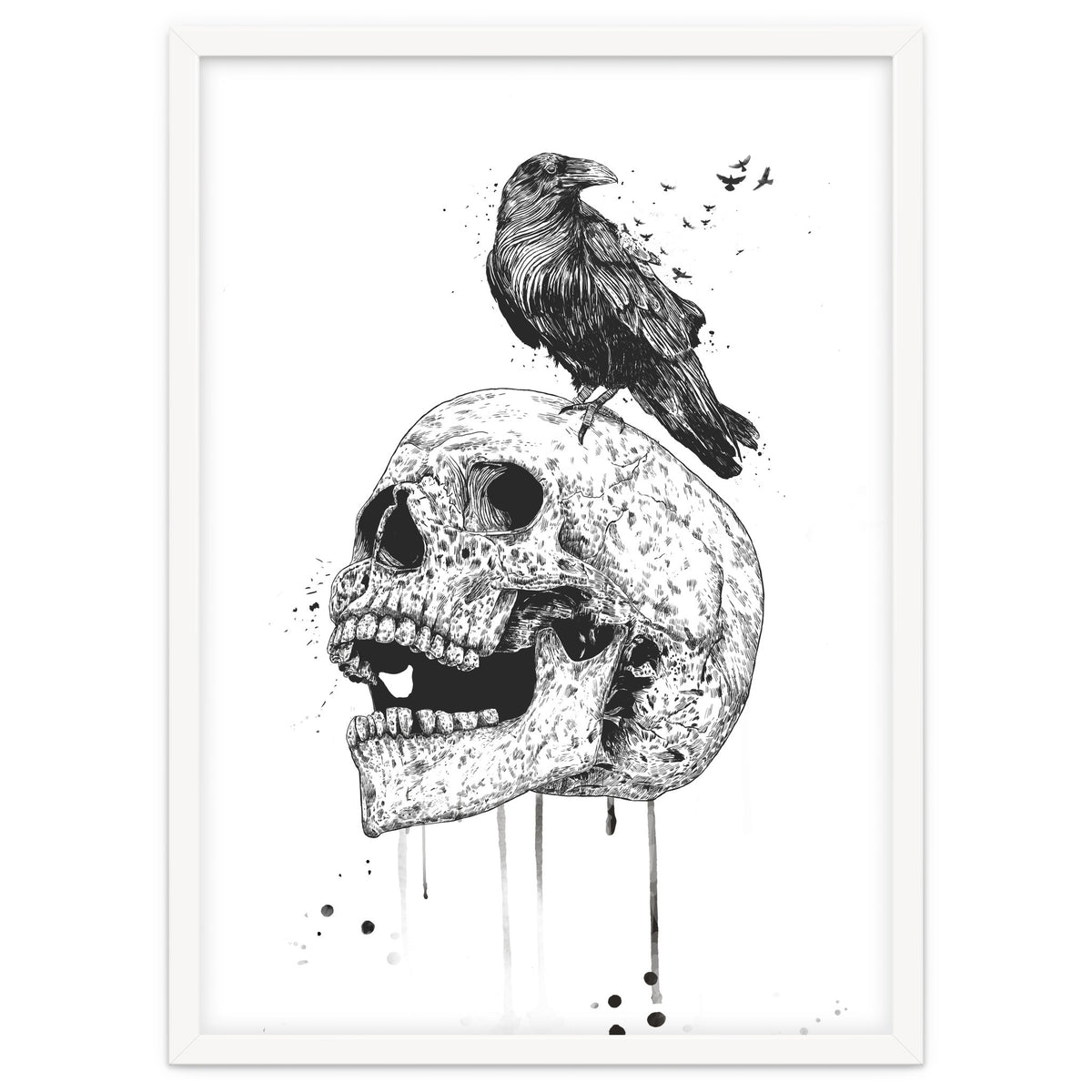 New Skull (bw)
