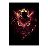 Meowl (Print Only) thumbnail