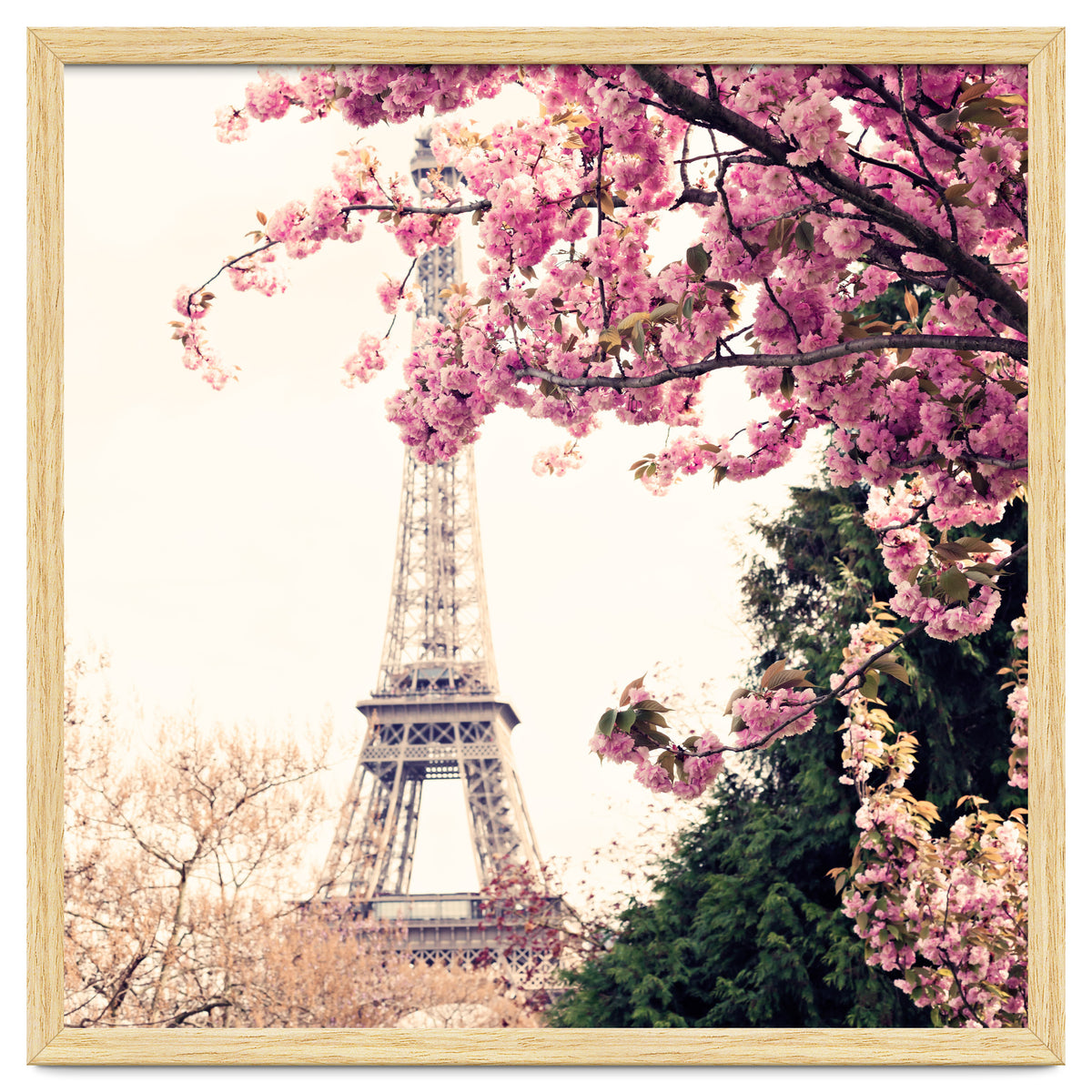 Paris in the Spring