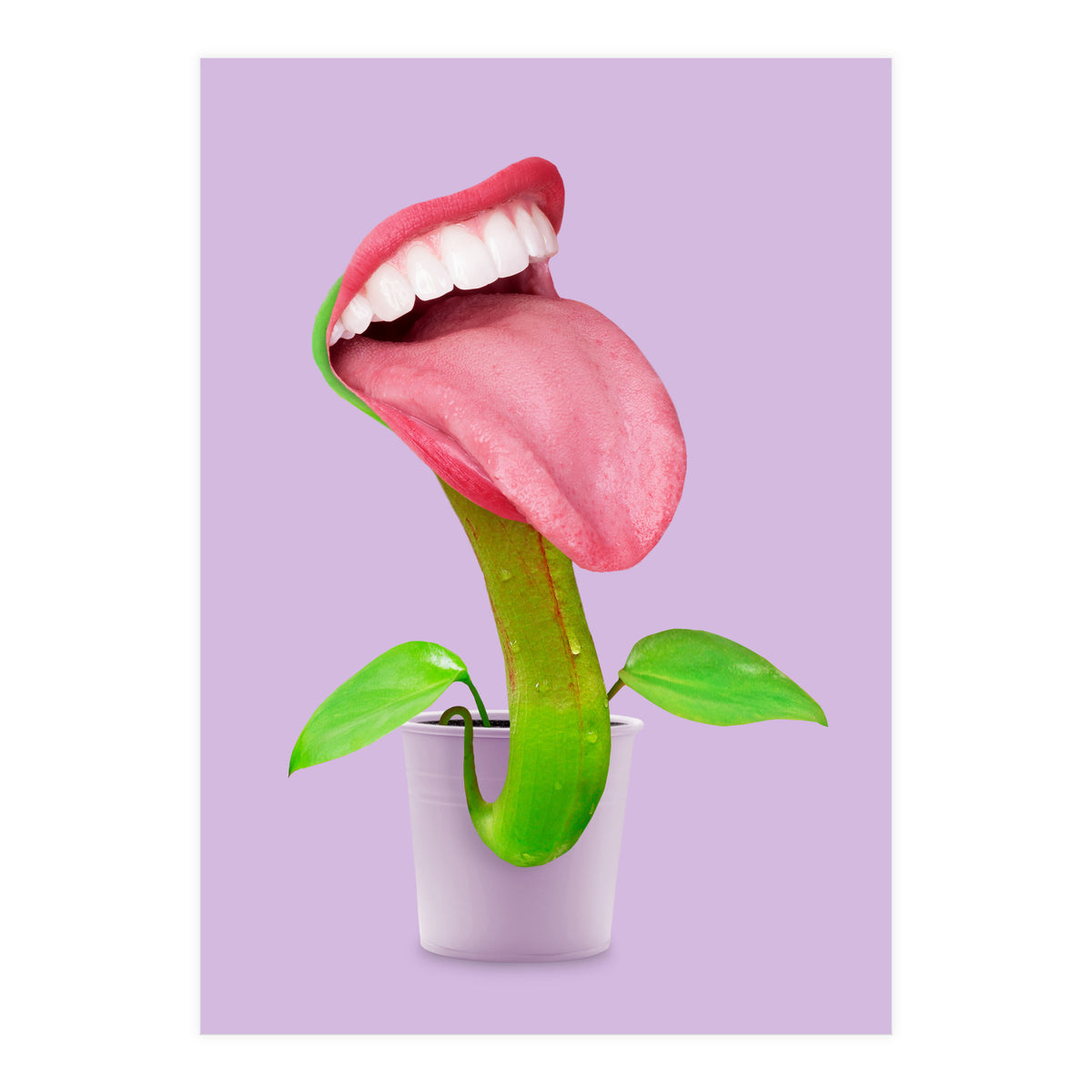 Carnivorous Plant (Print Only)