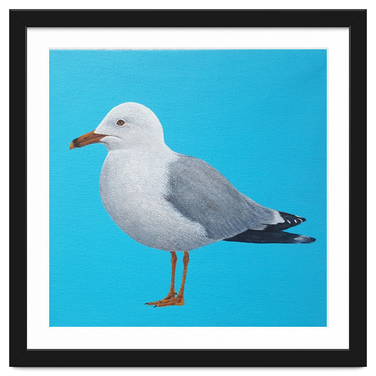 Seagull
