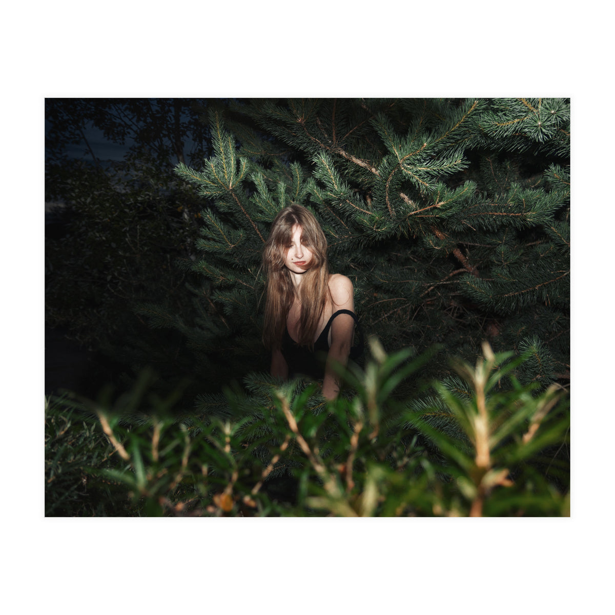 Hiding Game (Print Only)