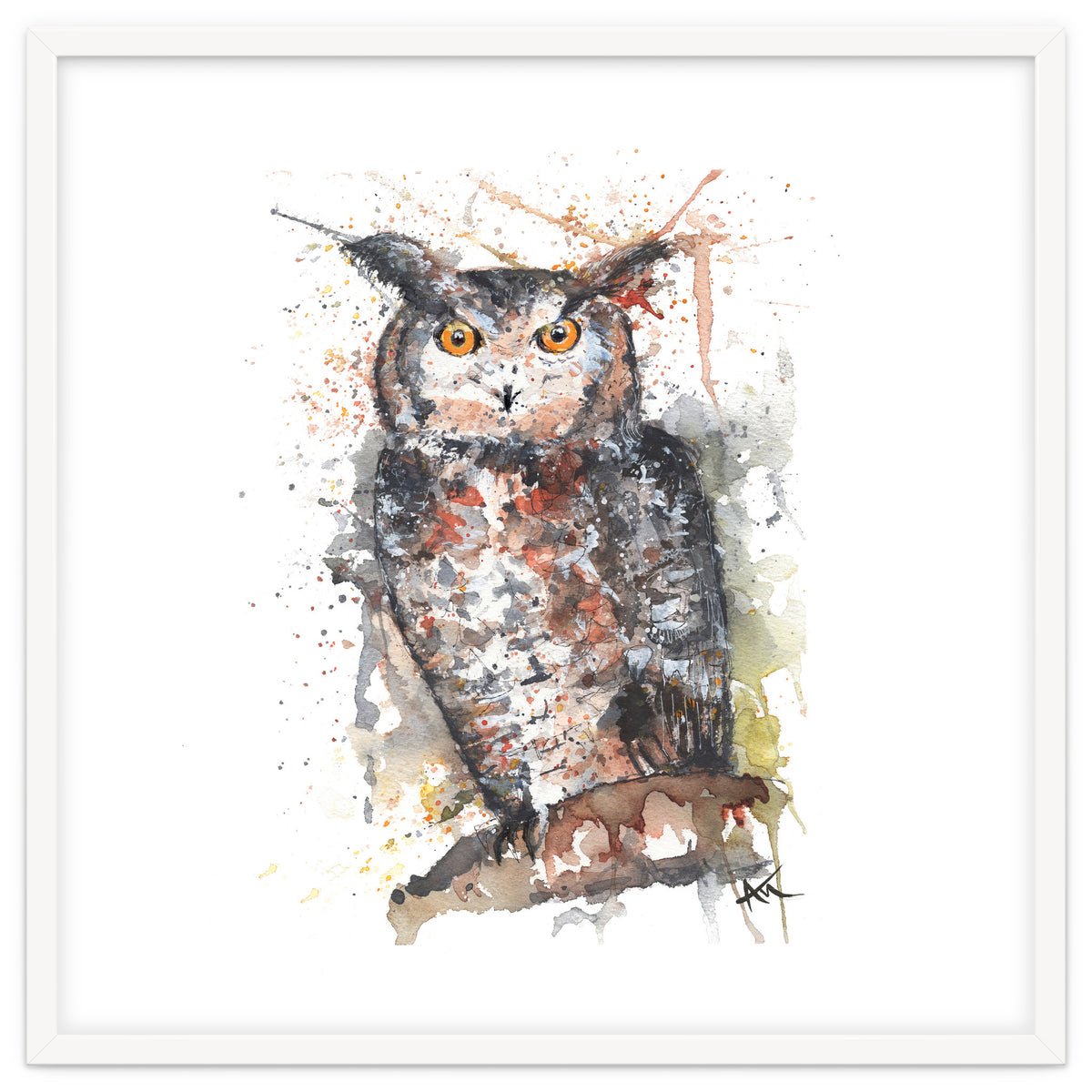 Owl - Wildlife Collection