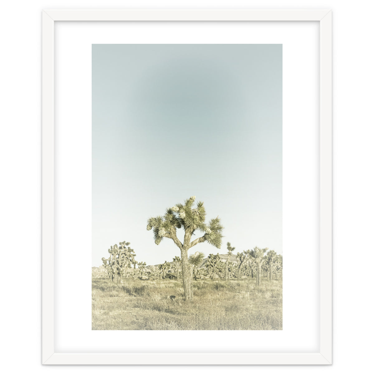 Vintage Joshua Tree