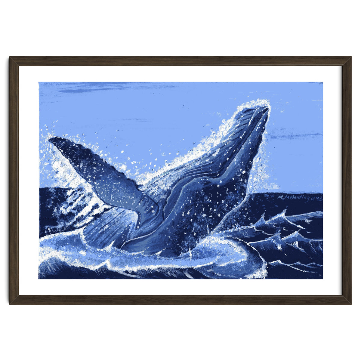 Humpback Whale Breaching