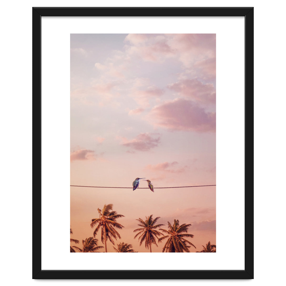 Hummingbirds In Love