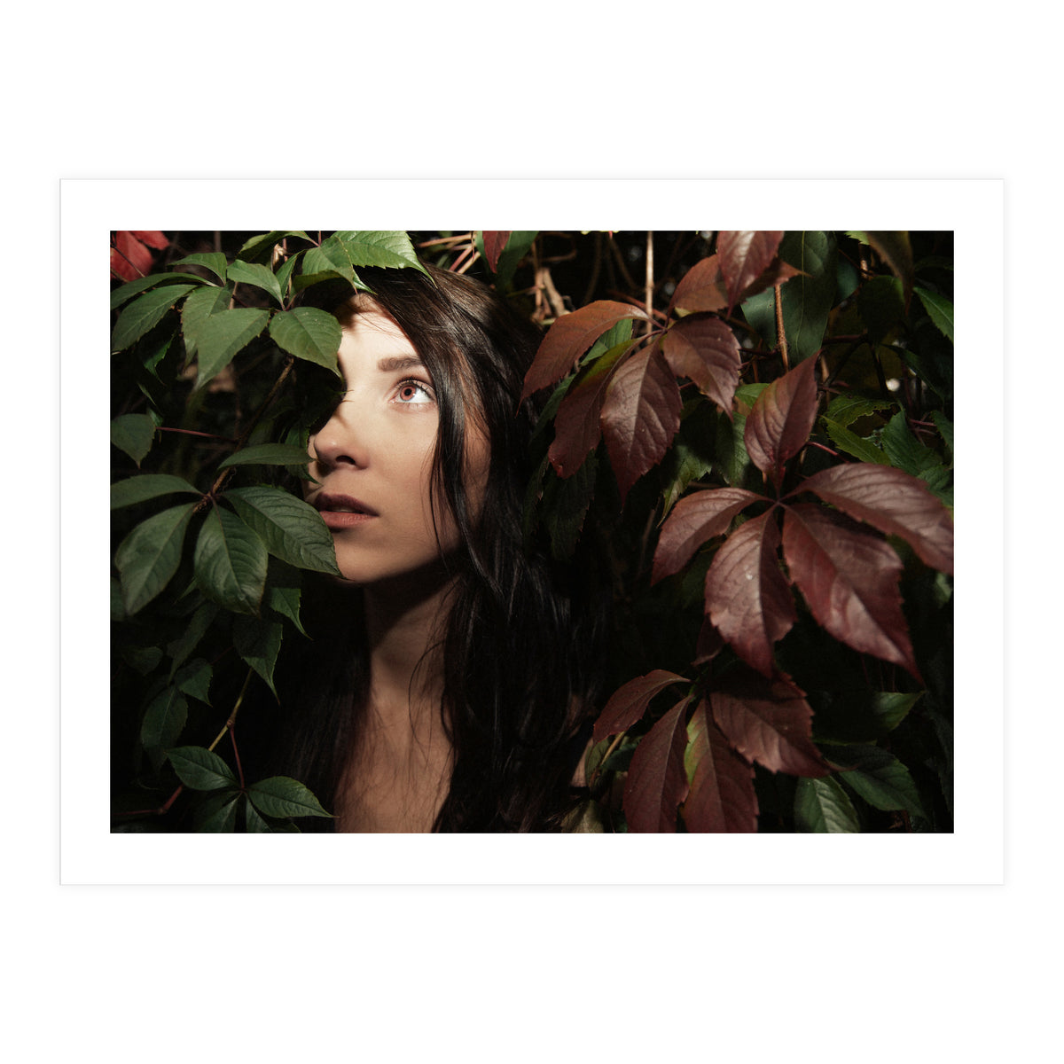 Autumn Portrait (Print Only)