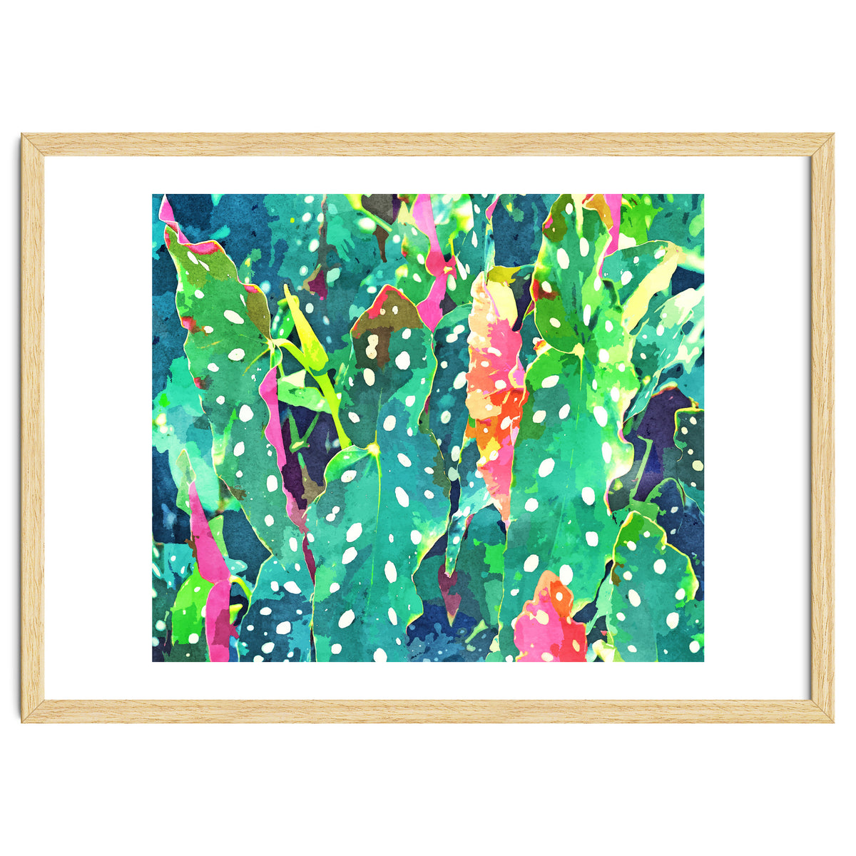 The Polka Dots Plant