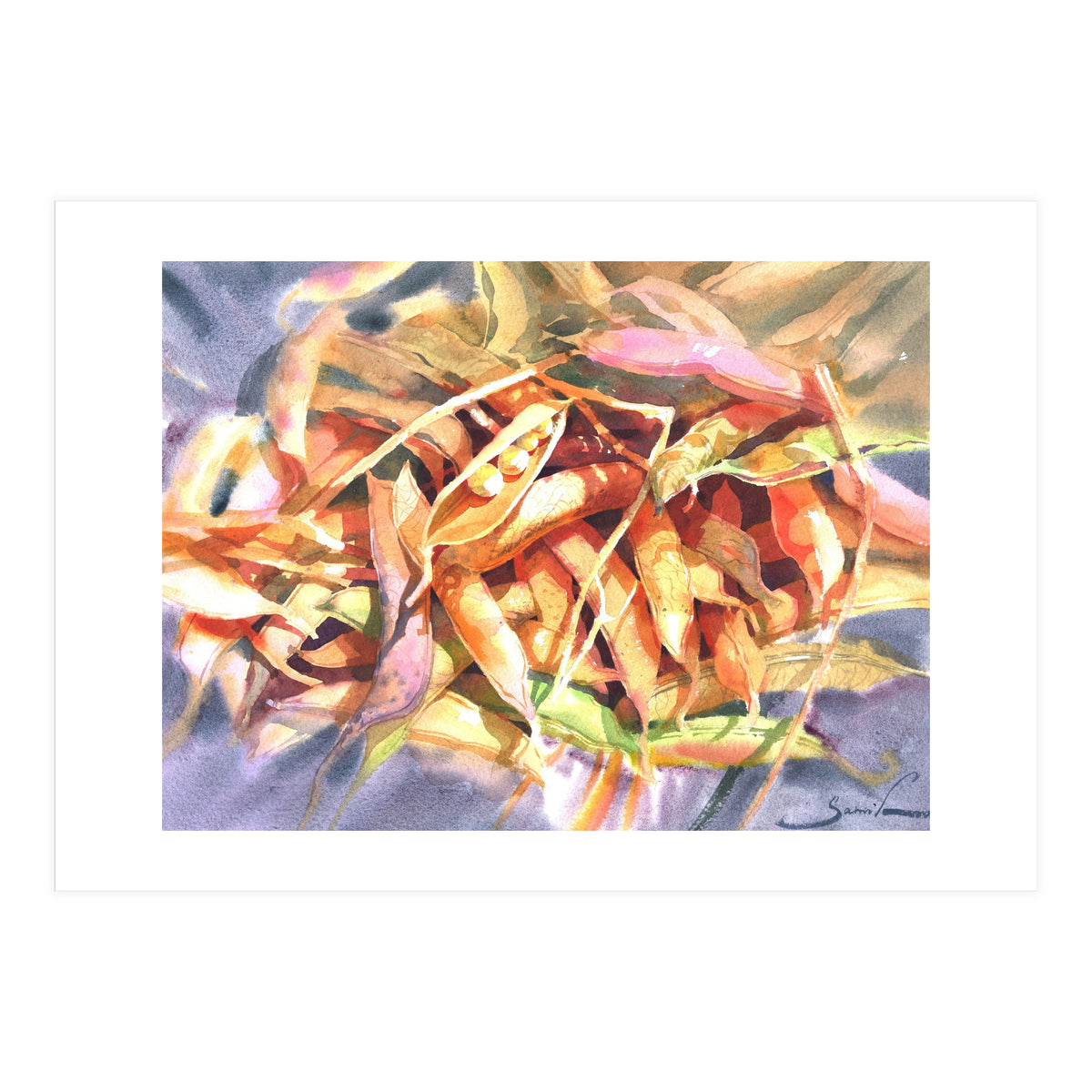 Bean Pods  (Print Only)