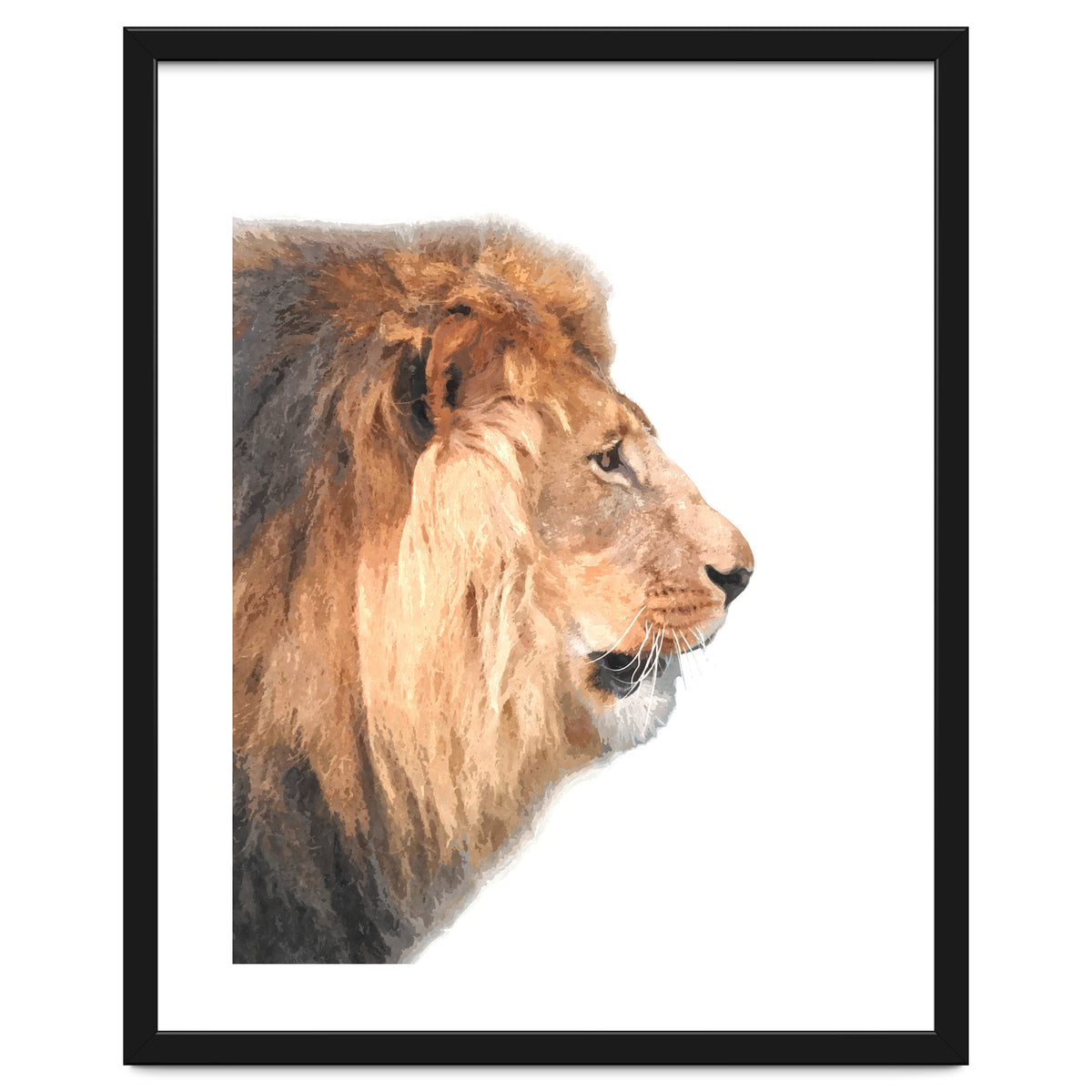 Lion Profile