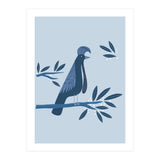 Umbrellabird (Print Only) thumbnail