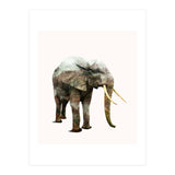 Elephant Transformation (Print Only) thumbnail