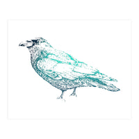Teal Raven (Print Only)