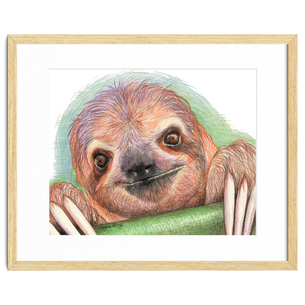 Smiling Sloth