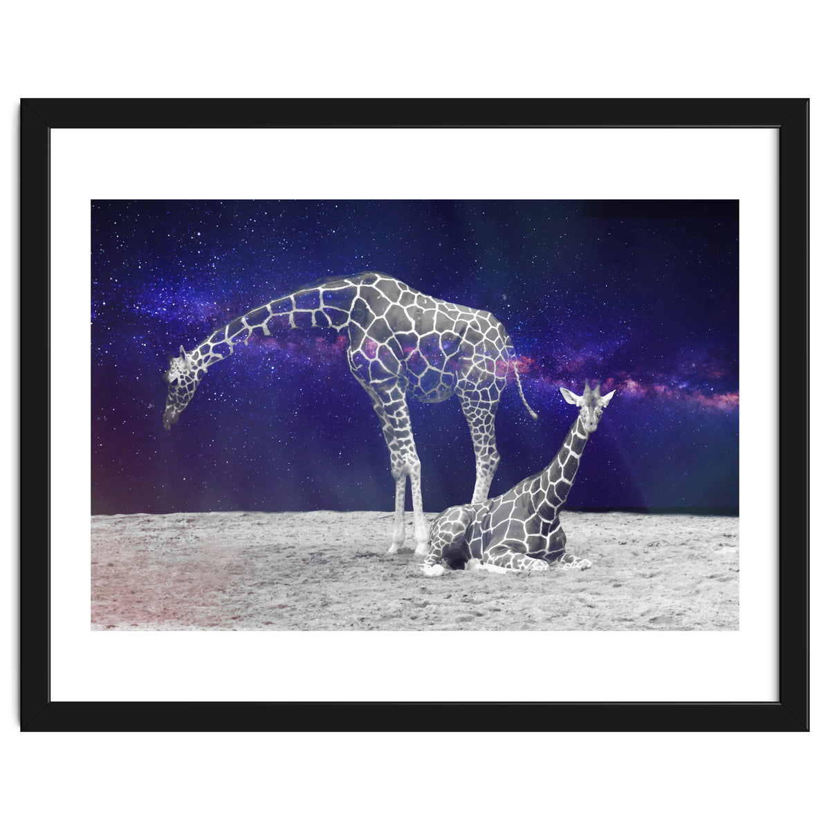 Giraffes on The Moon