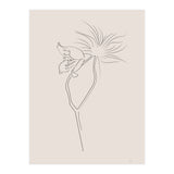 Flower 01 (Print Only) thumbnail