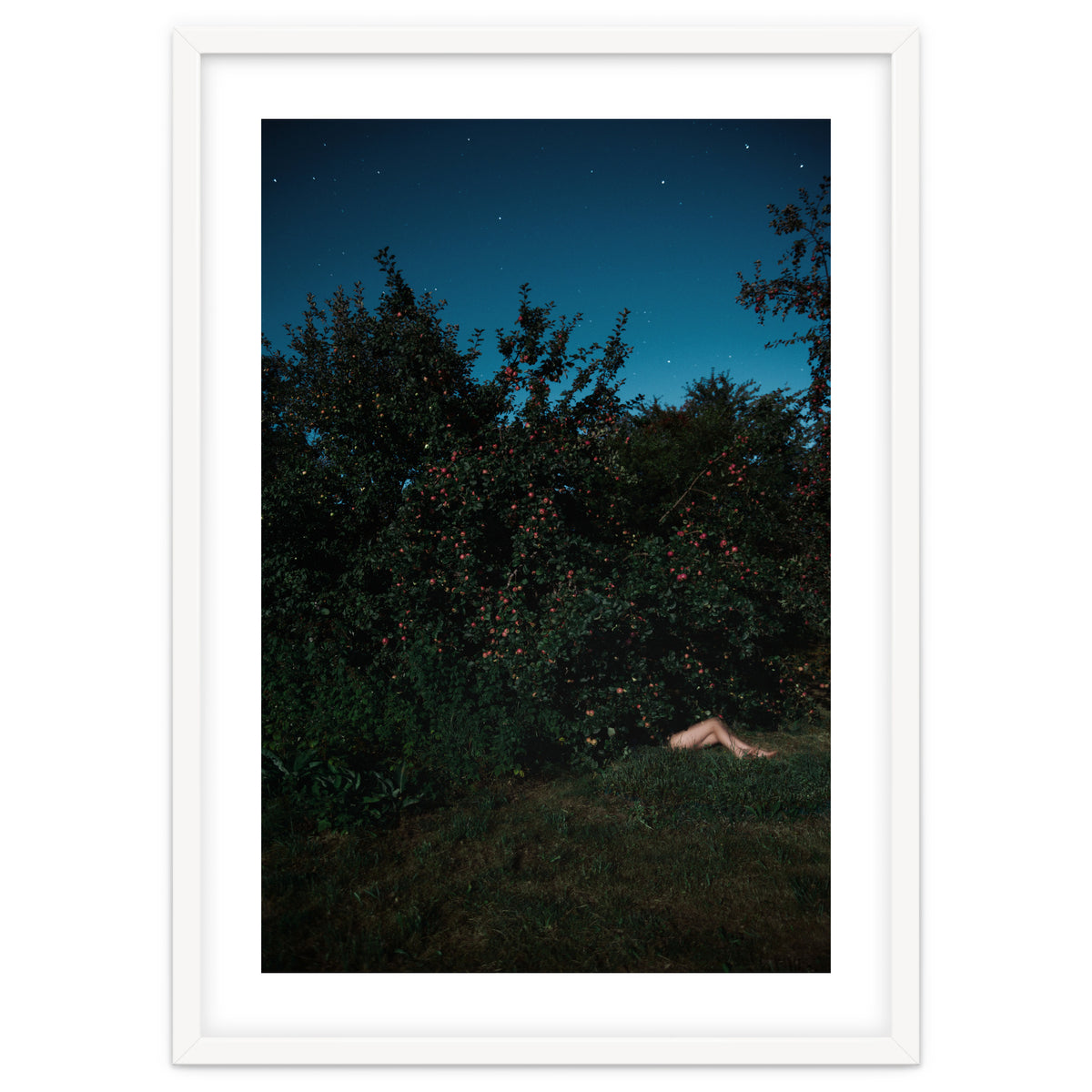 The Cider House Legs