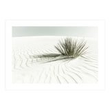 WHITE SANDS Idyllic scenery | Vintage (Print Only) thumbnail