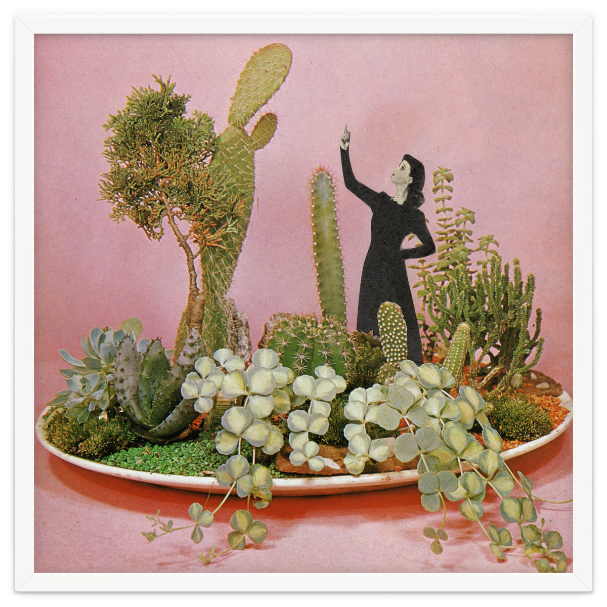 The Wonders Of Cactus Island