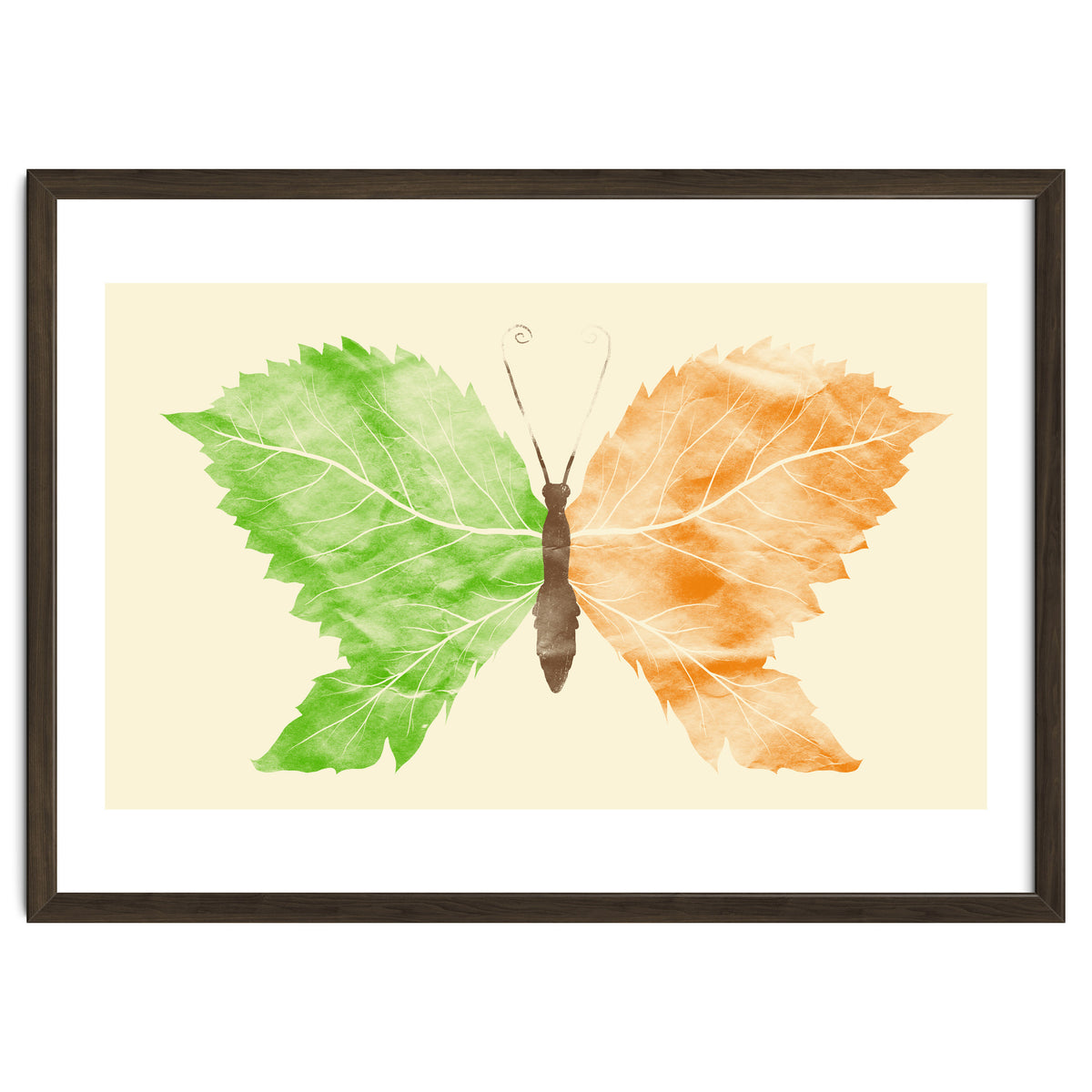 Seasons Change Time Flies