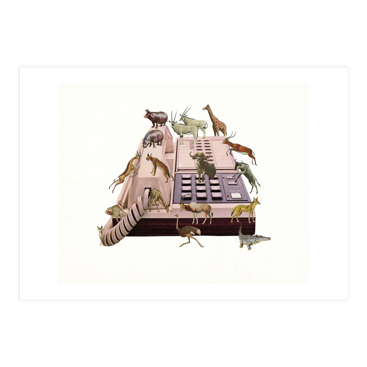 Wild Office (Print Only)