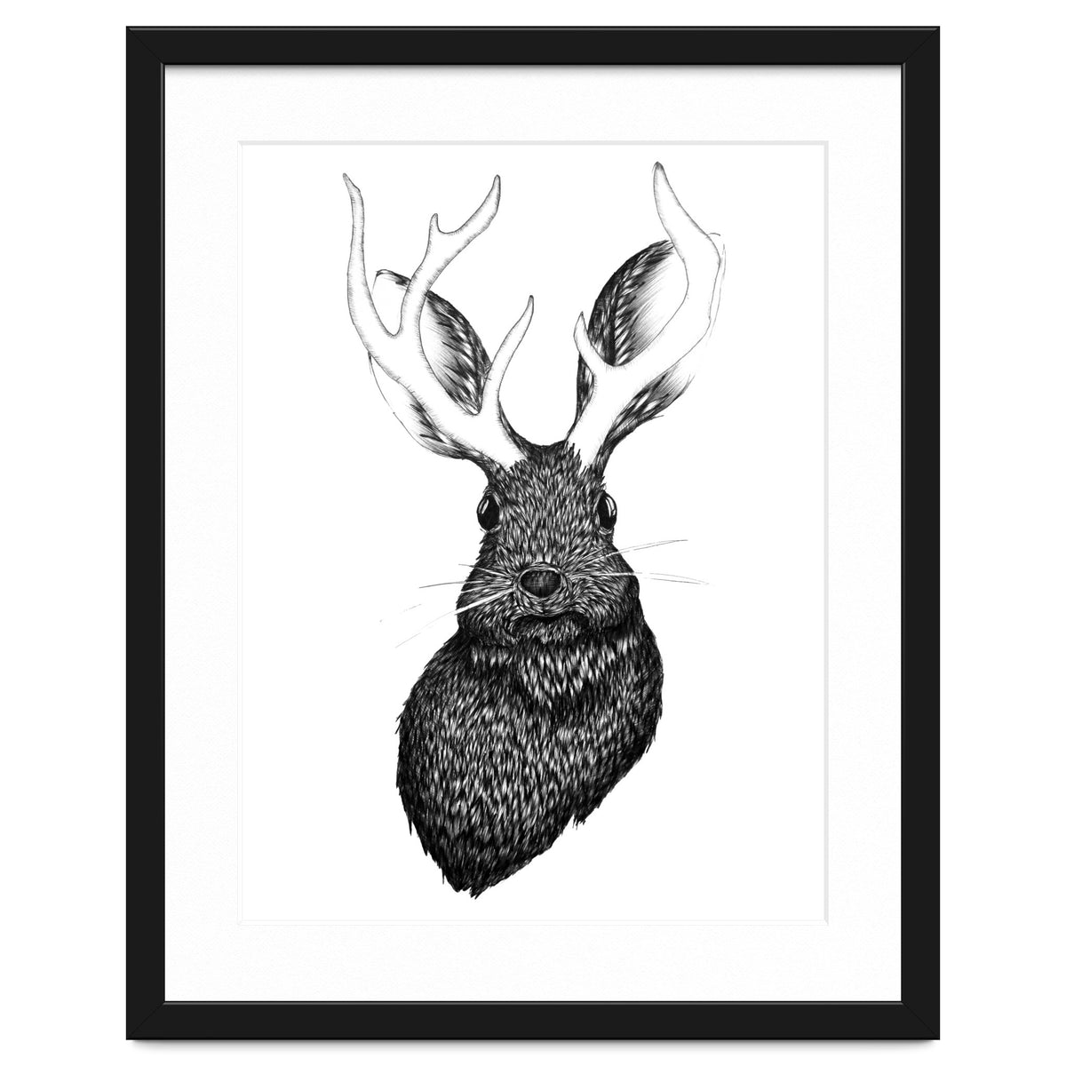Jackalope