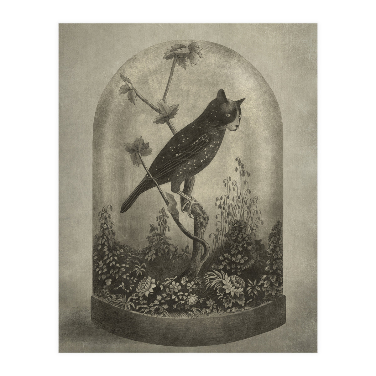 The Curiosity (Print Only)